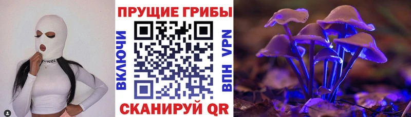 Псилоцибиновые грибы MAGIC MUSHROOMS  кракен как войти  Холм  сколько стоит 